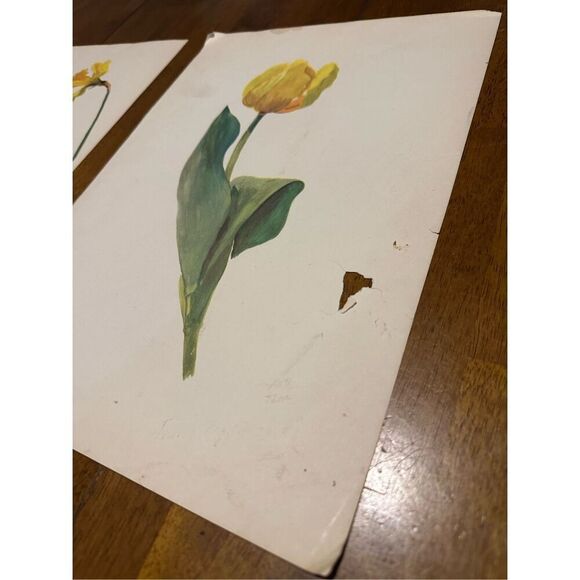 Flowers Drawn by Arlette Davids Text by Princess Bibesco prints Yellow 10x14” - Picture 4 of 9